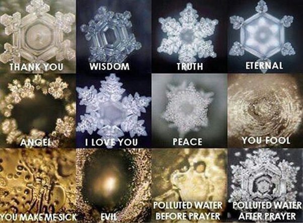 Living Vibrations